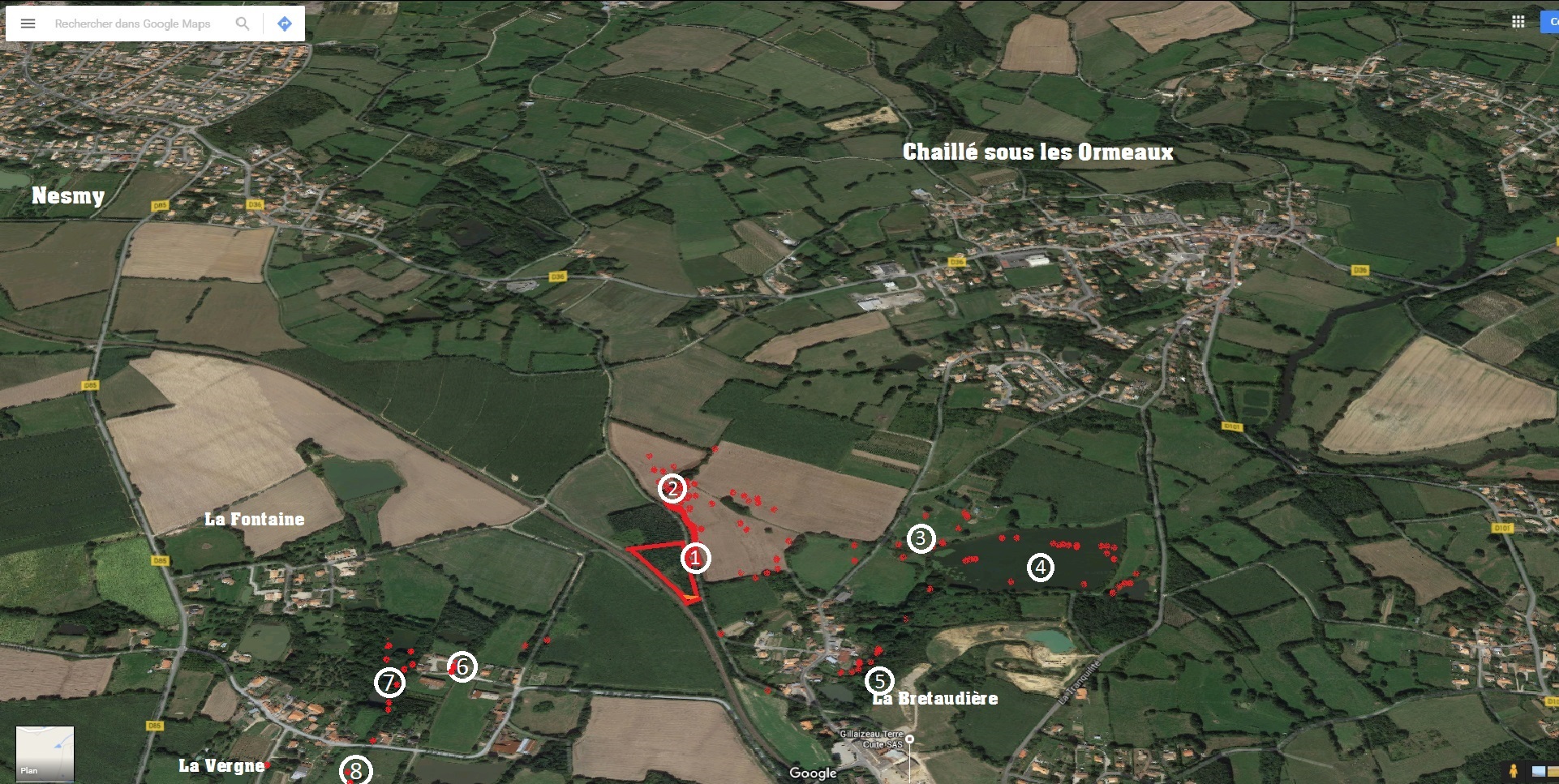 carte